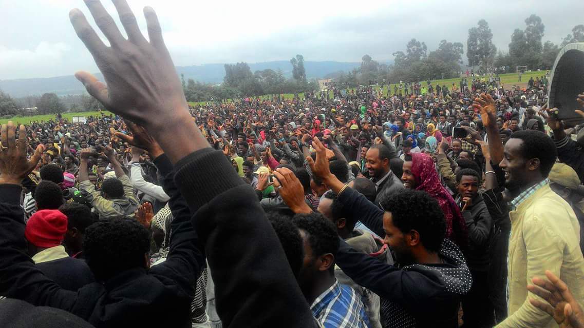 Large crowds gather in Holota, Ethiopia, during the Oromo protests, which began in Ginchi to hundreds of  towns and villages across Oromia. The movement grew from opposition to a plan to expand Addis Ababa into Oromia into broader protests over land rights, political marginalization and government repression. Credit: EA Observer/Twitter.