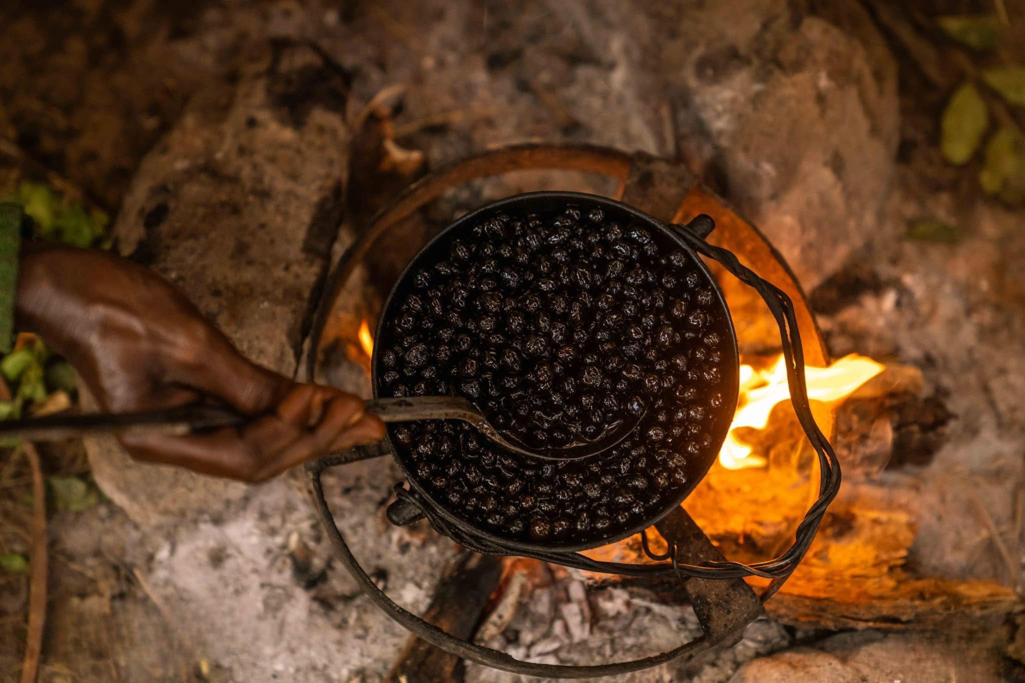 Before it was a drink, coffee was food. This is Buna Qallaa—coffee berries dried and fried in butter, eaten whole in Oromo tradition. 